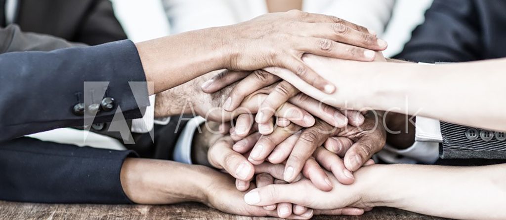 Partnerships Feature Ardex Australia